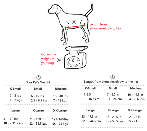 XXL Harness (121-160lbs / 55-73kgs)