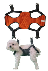 Small Harness (6-15lbs / 2.5-6.5kgs)